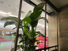 -旺顺阁鱼头泡饼(常营店)