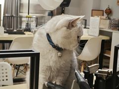 -Oasis绿洲银饰珍珠手作diy(壹方城店)