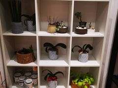 -简屋书店