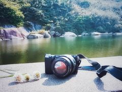 -洋山深水港