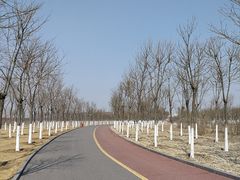 -天津东丽湖风景区