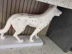 -半岛宠物医院24小时(白果林店)