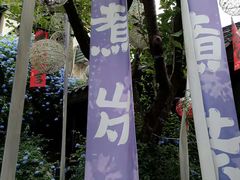 -五凤溪古镇