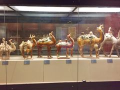 -西安大唐西市博物馆