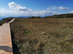 -白草畔自然风景区