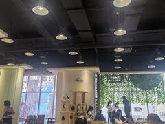 -藏猫猫咖啡主题馆(中央大道店)