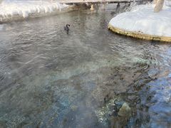 -水磨沟公园