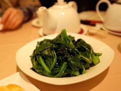 清炒广东菜心-金苑海鲜酒家(来魅力店)