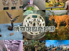 -陕西自然博物馆