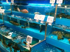 -盒马鲜生(领丰汇店)