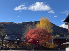 -白川乡与五箇山的合掌构造村落