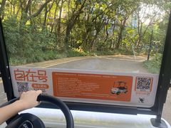 -深圳国际园林花卉博览园