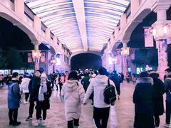 -南京银杏湖乐园