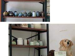 -彩虹桥宠物火化殡葬善终服务(金乐大厦店)