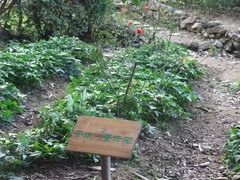 -茂德公草堂