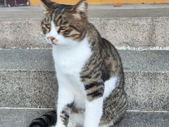 -西园寺素食(西园弄戒幢律寺店)