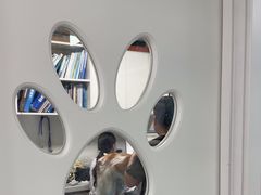 -达爱动物医院·犬猫分区·CT·复杂眼科(远洋山水分院)