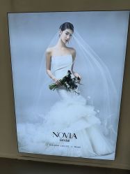 -金夫人婚纱摄影(总店)