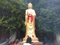 android_upload_pic-佛爷洞旅游景区