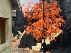 -Blue Concept Cafe&Farm·關於藍