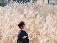 -济南国际园博园