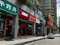 -大龙山(地铁站)