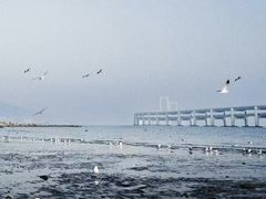 -黑石礁公园