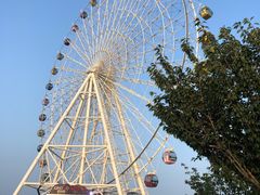 -琴岛之星摩天轮