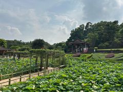 -广州莲花山旅游区