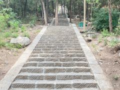 -白佛山景区
