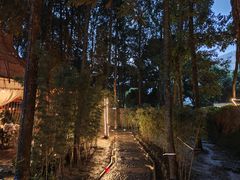 -二荆条·蜀鲜汇城市森林火锅