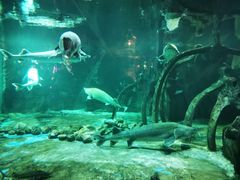 -华夏文旅海洋公园