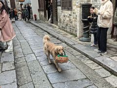 -羊楼洞