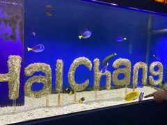 -海合安成都极地海洋公园