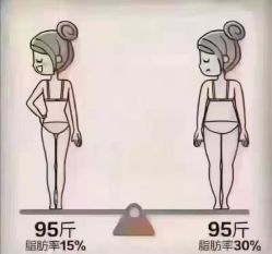 -香薇妮丝女子减肥院