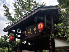 -青城甲(青城山店)