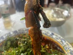 -周鱼鳅饭店