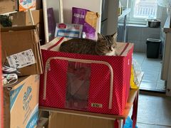 -美联众合动物医院·24h转诊中心