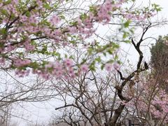 -木守西溪溪隐餐厅