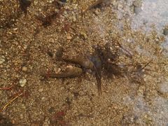 -碓臼峪自然风景区