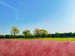 -汉长安城未央宫国家考古遗址公园