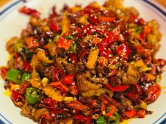 -福苗小骆驼烧烤(莲湖路店)