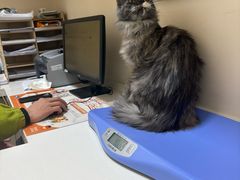 -芭比堂动物医院·犬猫全科·异宠专科(雁塔分院)