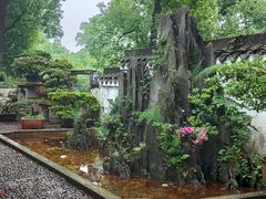-南山植物园