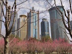 -陆家嘴中心绿地