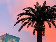 -苏州湾梦幻水世界