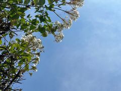 -广西壮族自治区药用植物园