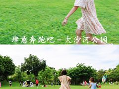 -大沙河公园