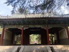 -明鲁王陵