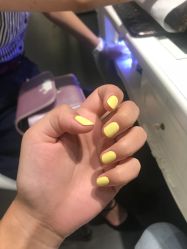 -东方麒麟·潘多拉SALON